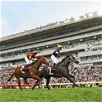 hkjc bet hk