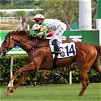 bet hkjc com racing